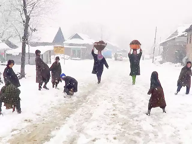 J&K: Snowfall brings cheer to tourists; relief from intense cold