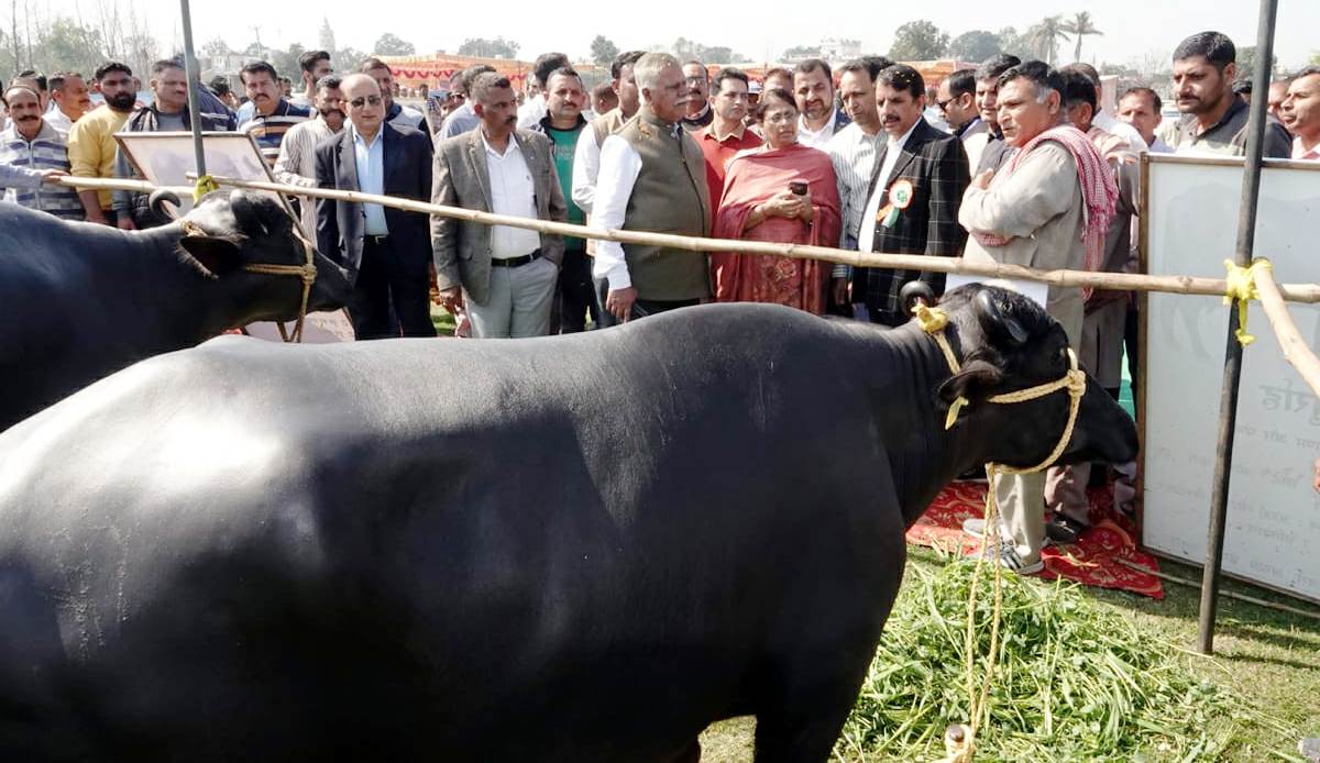 Animal Husbandry Department Jammu organises mega Awareness programme in Marh block | Take One Animal Husbandry Department Jammu organises mega Awareness programme in Marh block | Take One