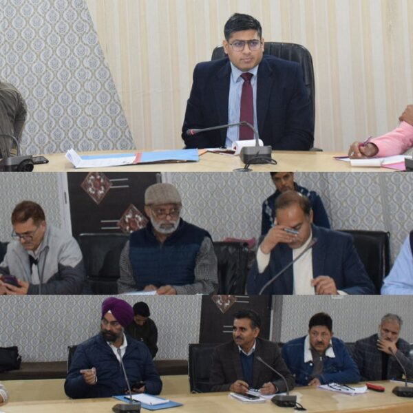DC Rajouri discusses bottlenecks hampering execution of developmental projects