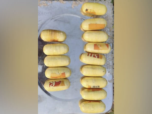 BSF recovers 14 packets of suspected narcotics in Punjab’s Ferozepur