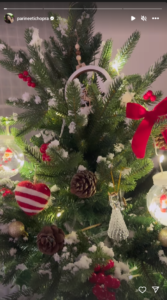 Parineeti Chopra shares glimpses of her Christmas cerebration