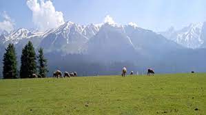 Newly approved Hallan- Chiranbal road to become gateway to prosperity by boosting tourism economy