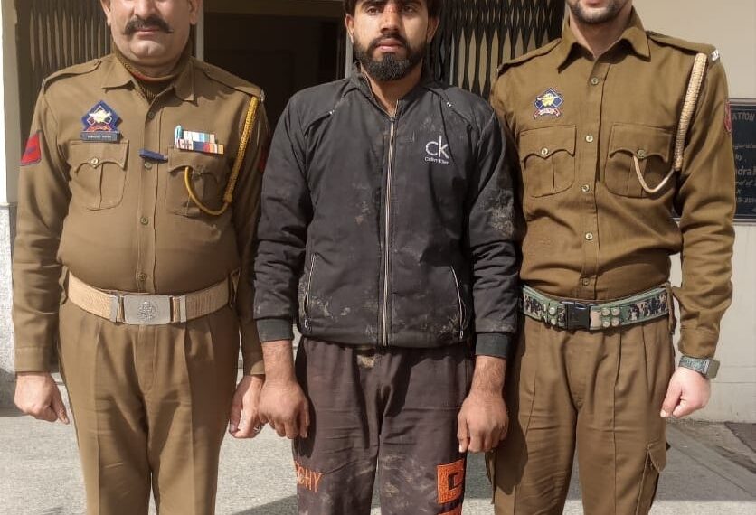 Samba police thwart bovine smuggling attempts: Smuggler arrested, 8 bovines rescued