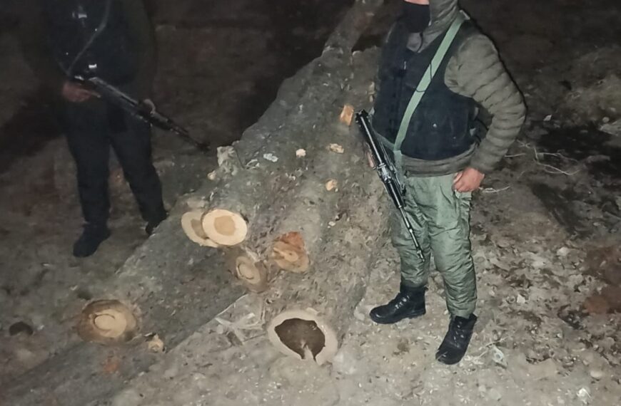 Budgam police bust illicit timber operation, seize 8 logs