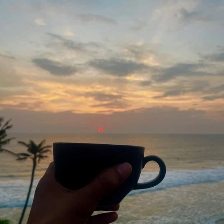 These 5 cafes are a must visit in Kerala’s Varkala
