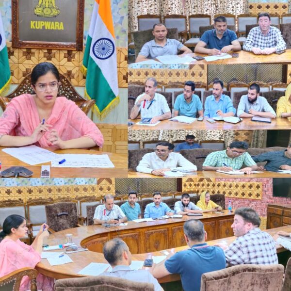DC Kupwara reviews performance of PM Vishwakarma scheme, PDI
