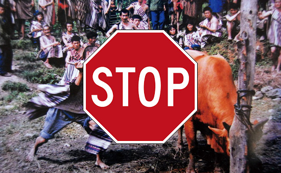 There should be no lynching, be it of cows or men: RSS functionary