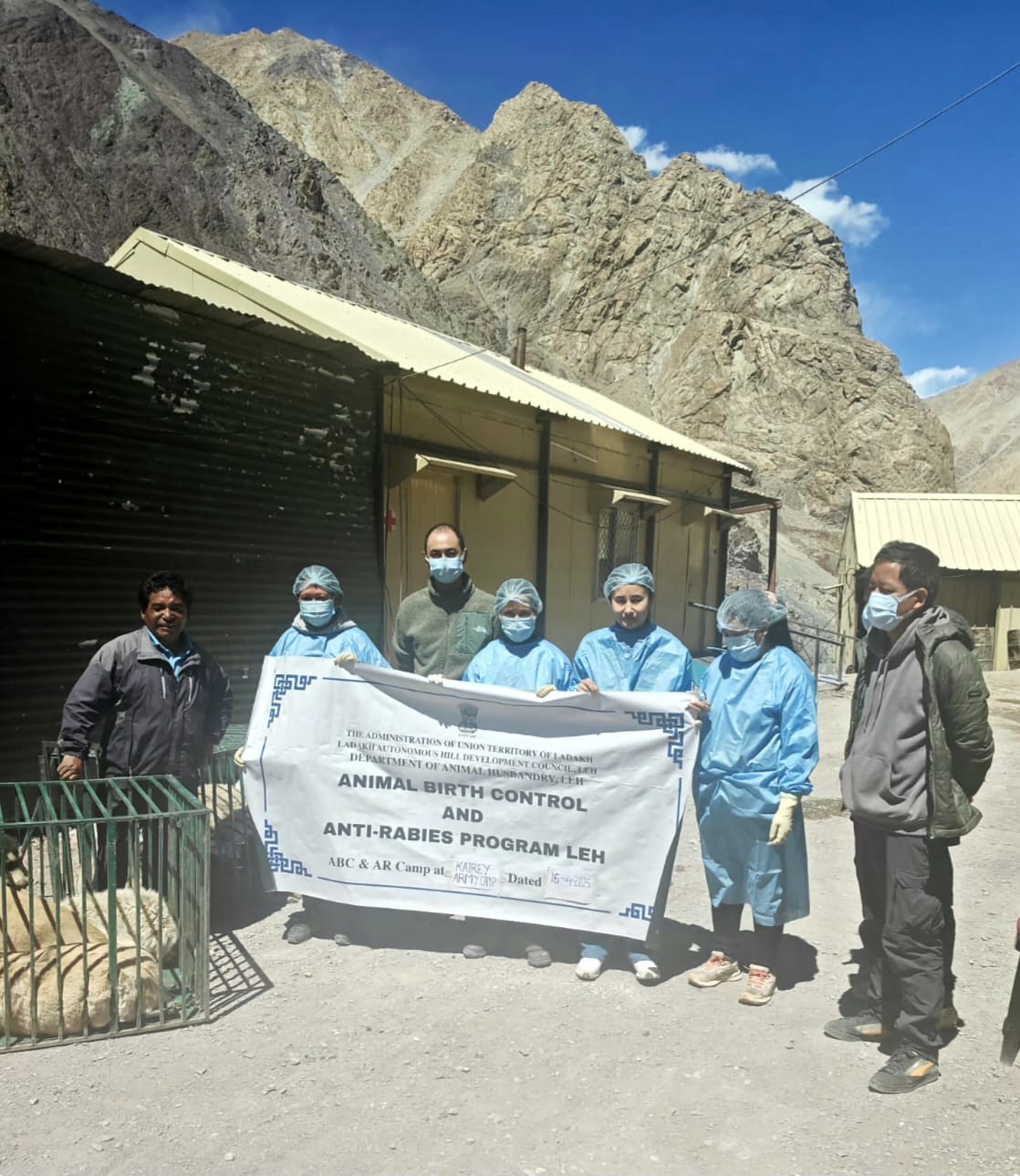 246 Stray Dogs Sterilized and Vaccinated in Kayray Camp