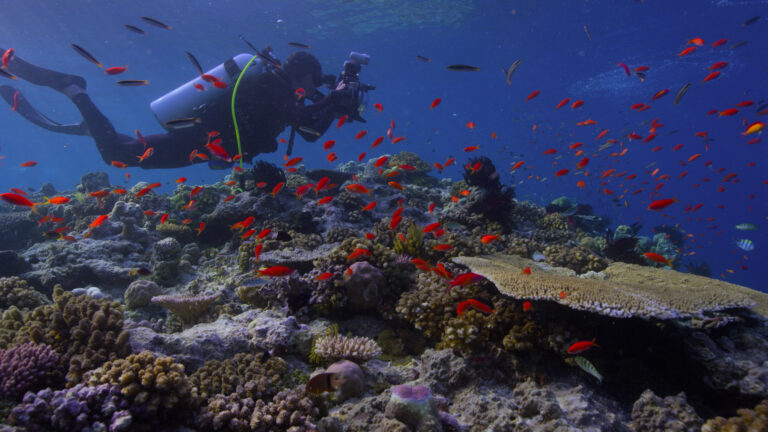 Climate Change Movies on netflix
