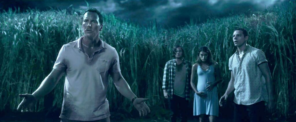 Stephen King Movies on netflix- The tall grass