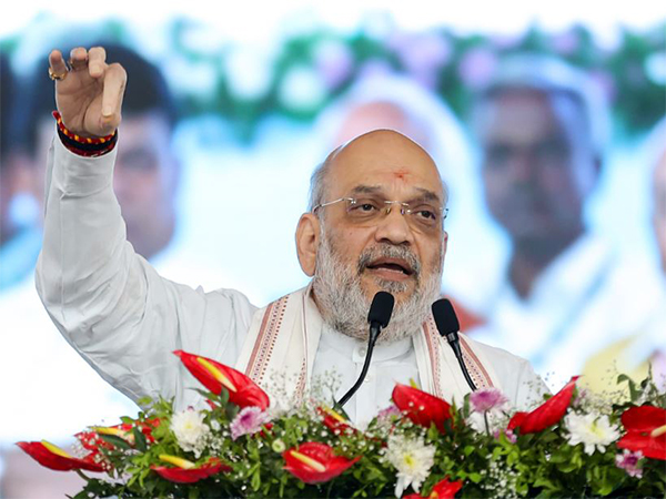 Union Home Minister Amit Shah (File Photo/ANI)