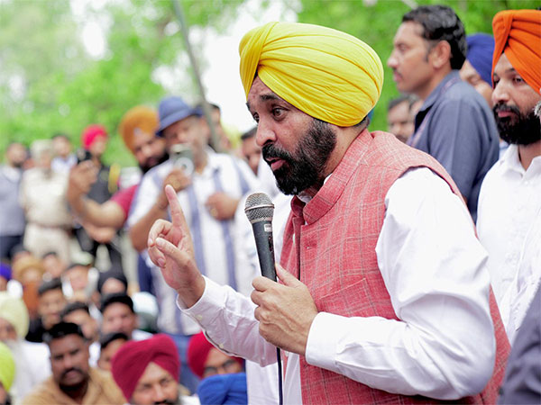 Punjab Chief Minister Bhagwant Mann (File Photo/@BhagwantMann x)
