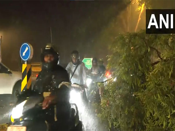 Delhi and adjoining areas witnessed heavy rain and gusty winds on Wednesday (Photo:ANI)