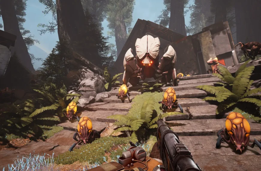 Is Voidtrain Crossplay?