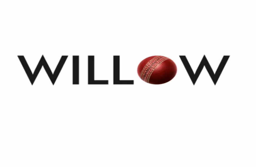 cancel willow subscription