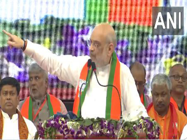 Union Home Minister Amit Shah (Photo/ANI) 