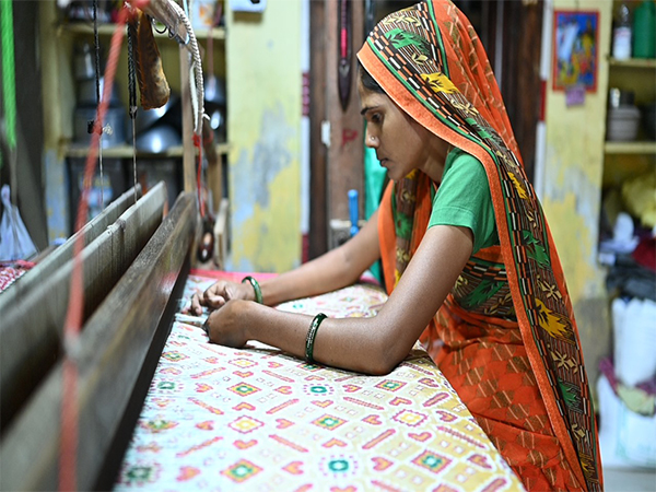 A handloom worker (Photo/ @GujaratCMO) 