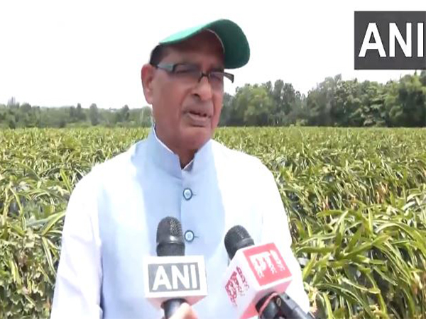  Union Agriculture Minister Shivraj Singh Chouhan (Photo/ANI)