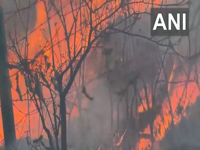 Fire broke out in the forest area of Reasi (Photo/ANI)