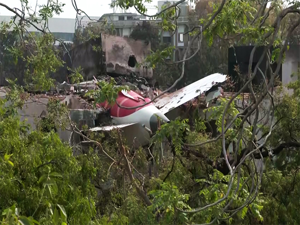 Visual from the crash site (Photo/ANI)