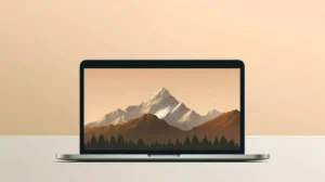 The Rise of the 'Tech Minimalist' Mac User  —  And Why They Might Be the Most Secure