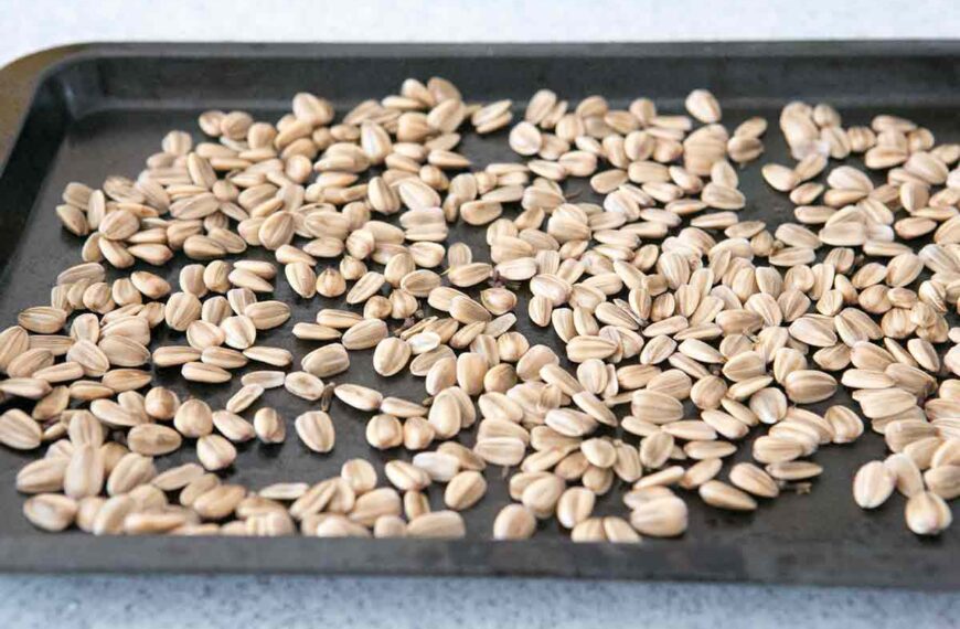 How To Make Roasted Sunflower Seeds At Home